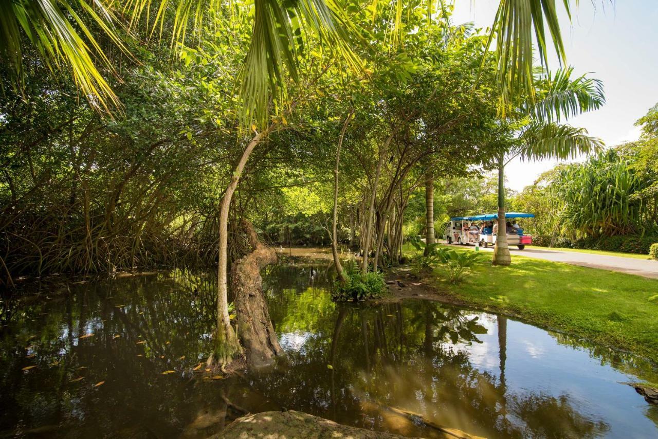 Princess Family Club Bavaro Hotel Punta Cana Exterior photo